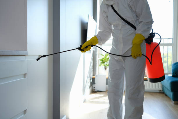 Best Mold Remediation for Specific Building Types in Wilber, NE